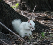 2016 06 11 WildLife MPLS 114
